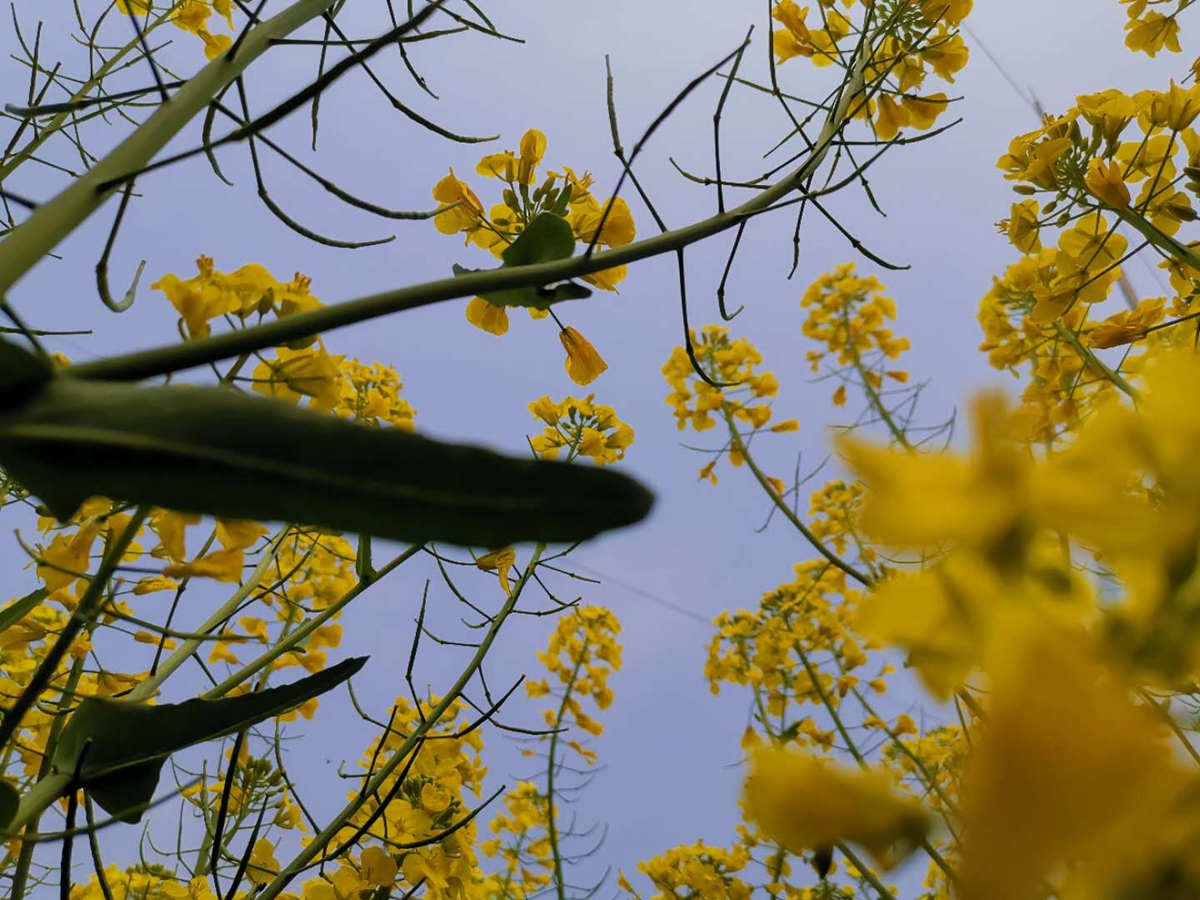 ̤����(d��ng)